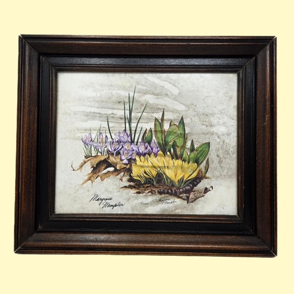 Maryrose Wampler Art Print Crocus Flowers Purple & Yellow Botanical Beauty